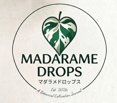 マダラメドロップス